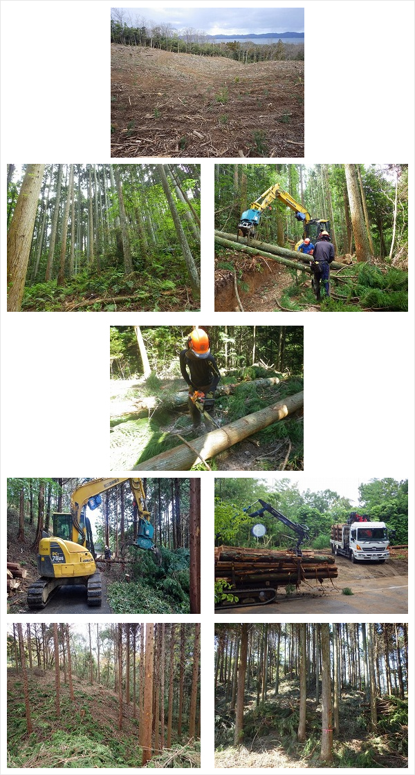 コカ・コーラボトラーズジャパン株式会社