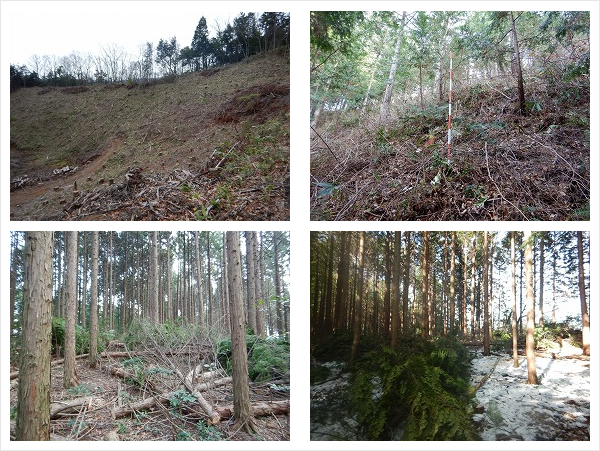 日立金属株式会社 安来工場