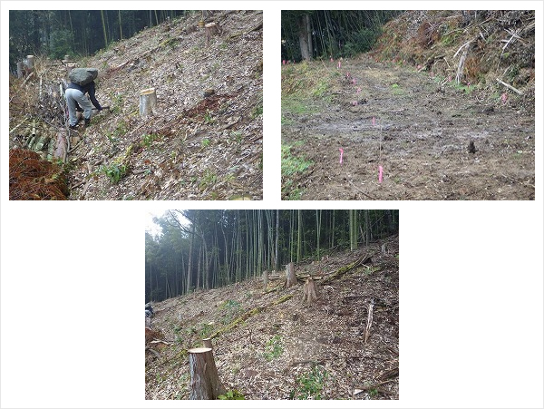 ナカバヤシ株式会社