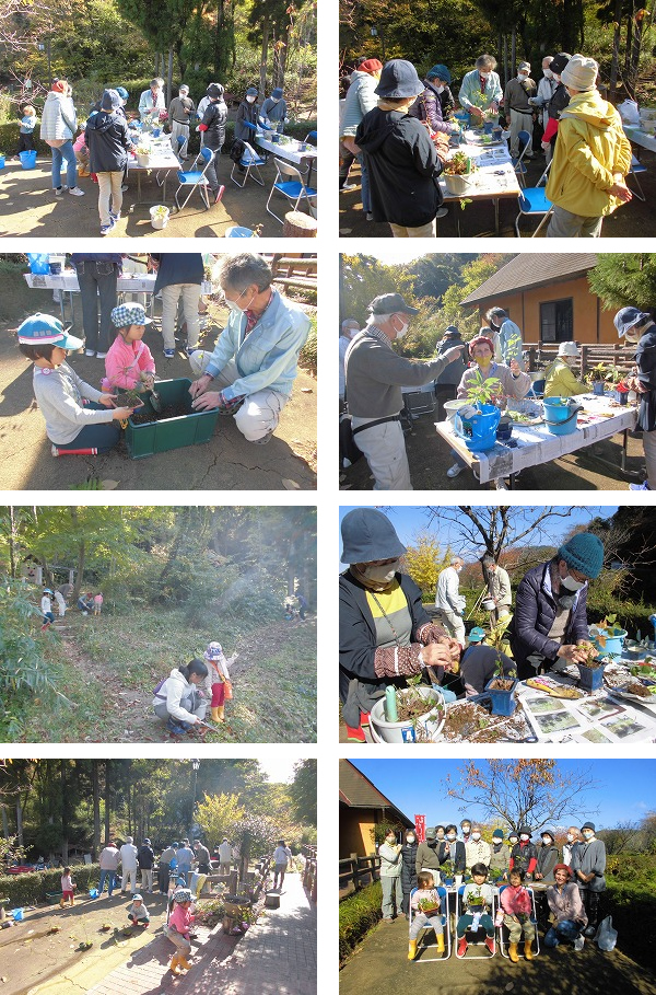 「盆栽」を体験する会