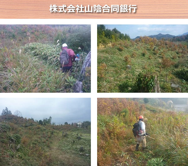 株式会社山陰合同銀行