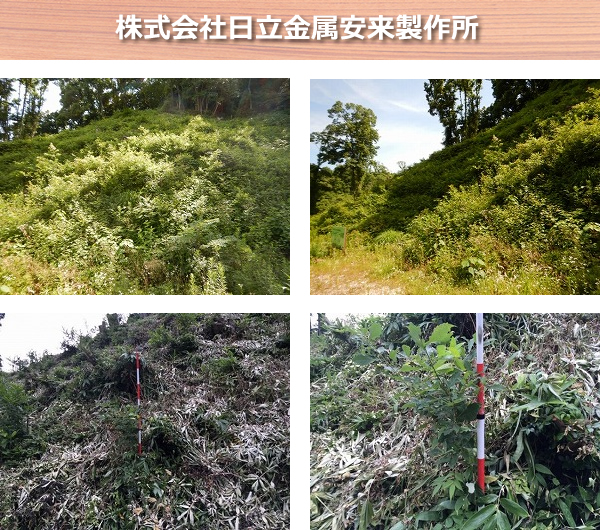 株式会社日立金属安来製作所