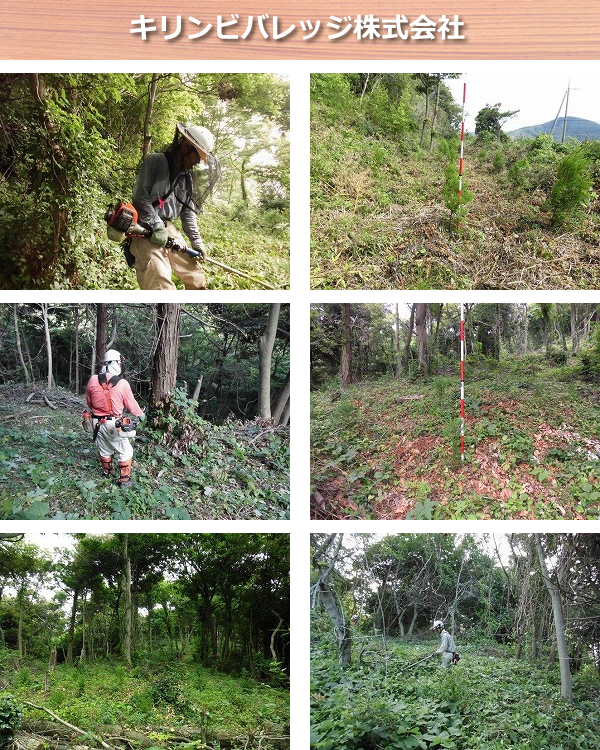 キリンビバレッジ株式会社