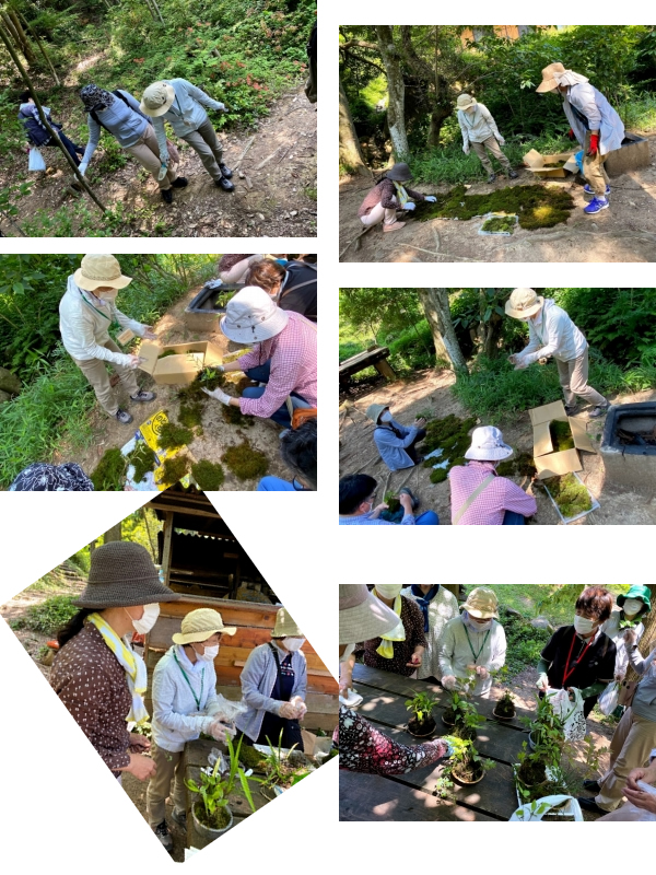 大庭公民館　野あるきの会