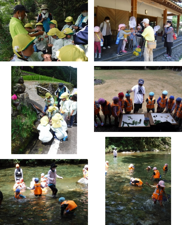 葵保育園、吉田こども園