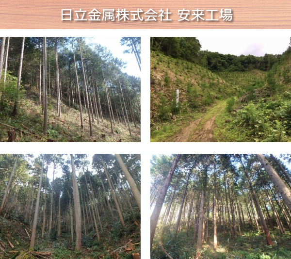 日立金属株式会社安来工場