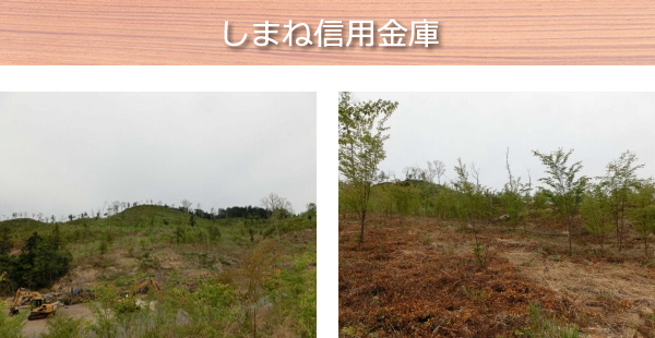 しまね信用金庫