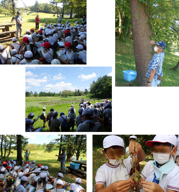 大田市立大田小学校