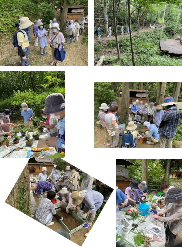 大庭公民館野あるきの会