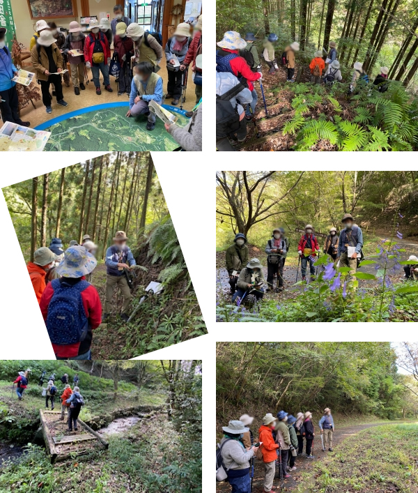 大庭公民館のあるきの会