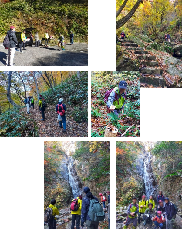 ひきみ田舎体験推進協議会