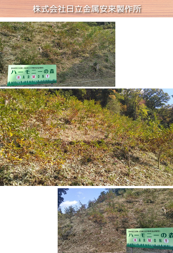 日立金属安来製作所