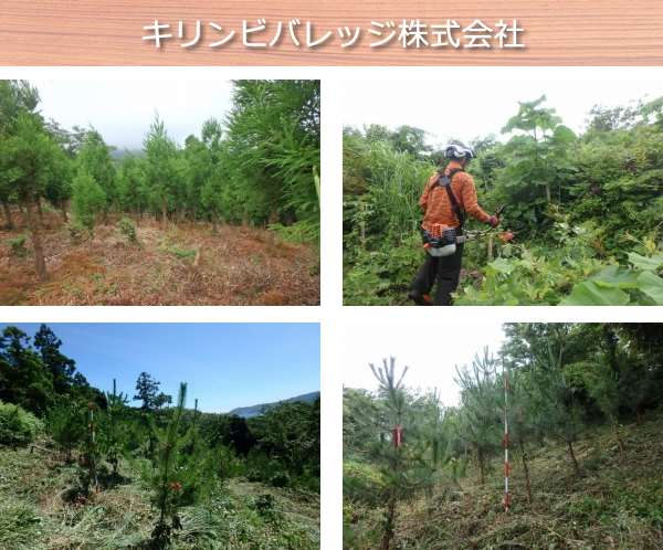 キリンビバレッジ株式会社