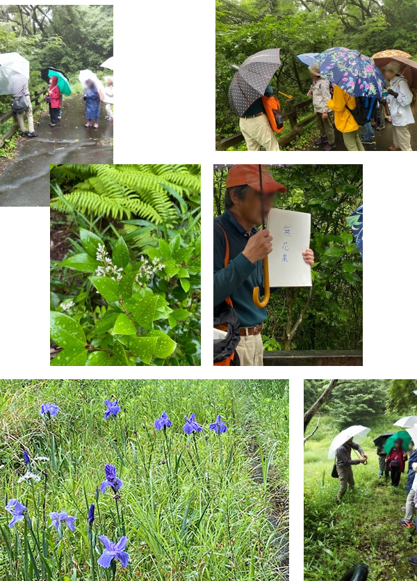 大庭公民館のあるきの会