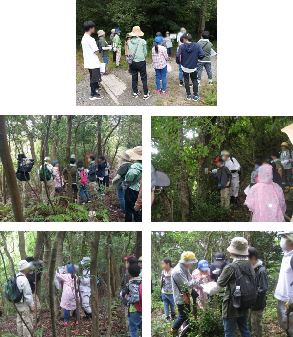 法吉・白鹿・真山の自然と文化を育む会