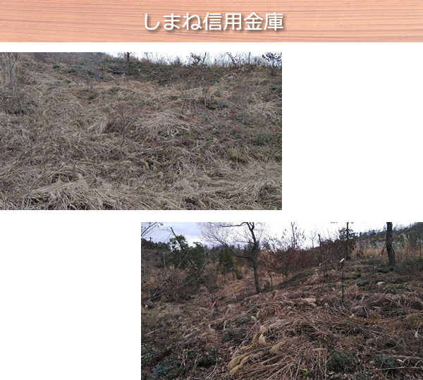 しまね信用金庫