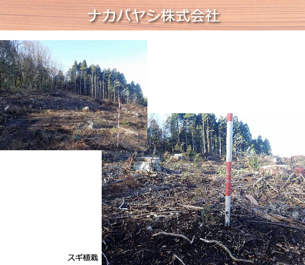 ナカバヤシ株式会社