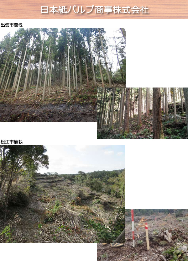 日本紙パルプ商事株式会社