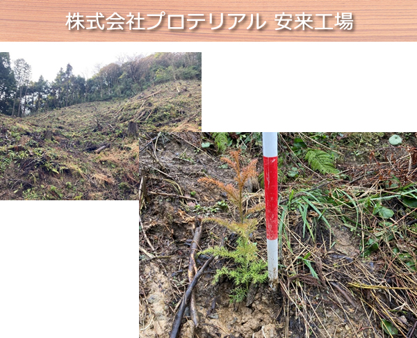 株式会社プロテリアル安来工場