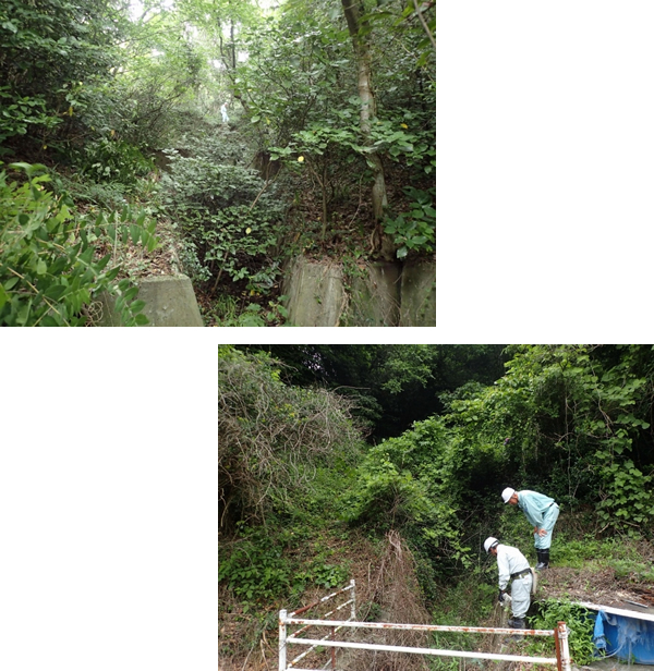 島根県西部農林水産振興センター