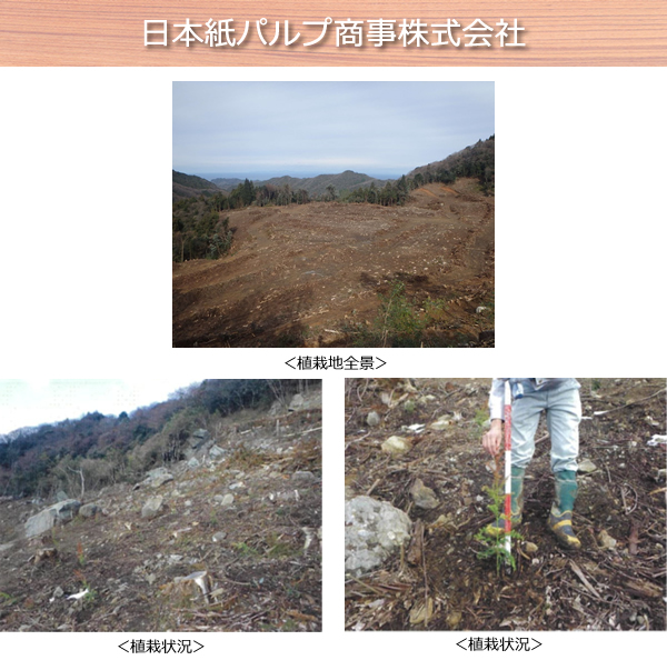 日本紙パルプ商事株式会社