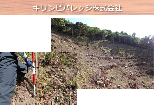 キリンビバレッジ株式会社