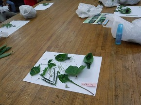 250807-nagahisayuyu-03