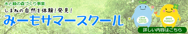 み~もサマースクール