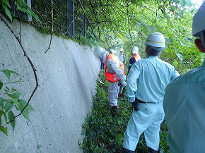 20251106-seibunorin02