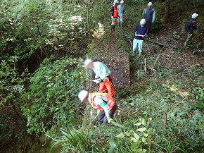 20251106-seibunorin03